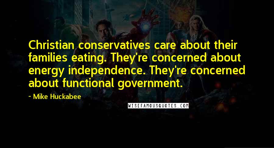 Mike Huckabee Quotes: Christian conservatives care about their families eating. They're concerned about energy independence. They're concerned about functional government.