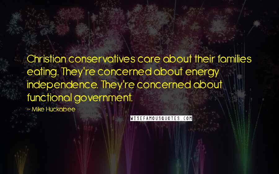 Mike Huckabee Quotes: Christian conservatives care about their families eating. They're concerned about energy independence. They're concerned about functional government.