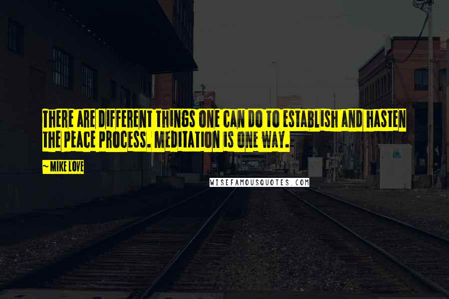 Mike Love Quotes: There are different things one can do to establish and hasten the peace process. Meditation is one way.