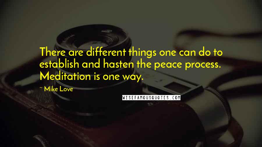 Mike Love Quotes: There are different things one can do to establish and hasten the peace process. Meditation is one way.