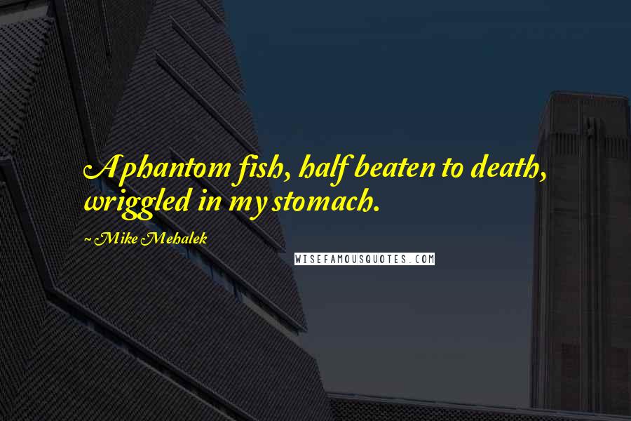 Mike Mehalek Quotes: A phantom fish, half beaten to death, wriggled in my stomach.
