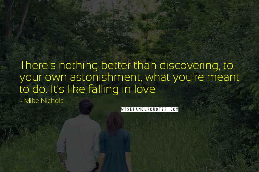 Mike Nichols Quotes: There's nothing better than discovering, to your own astonishment, what you're meant to do. It's like falling in love.