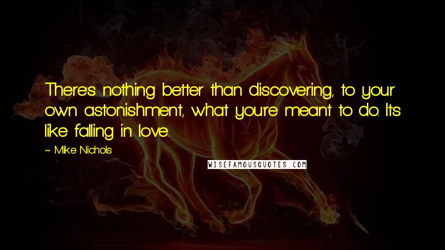 Mike Nichols Quotes: There's nothing better than discovering, to your own astonishment, what you're meant to do. It's like falling in love.