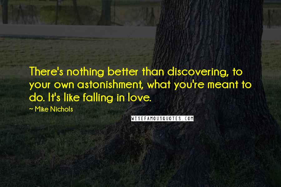 Mike Nichols Quotes: There's nothing better than discovering, to your own astonishment, what you're meant to do. It's like falling in love.