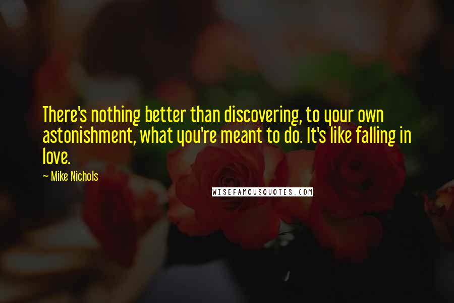 Mike Nichols Quotes: There's nothing better than discovering, to your own astonishment, what you're meant to do. It's like falling in love.