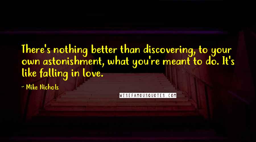 Mike Nichols Quotes: There's nothing better than discovering, to your own astonishment, what you're meant to do. It's like falling in love.