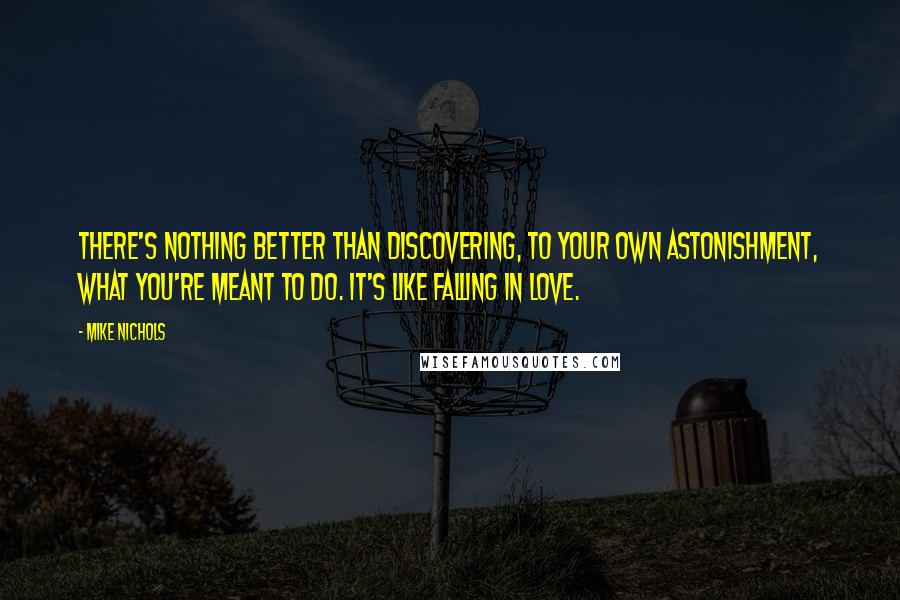 Mike Nichols Quotes: There's nothing better than discovering, to your own astonishment, what you're meant to do. It's like falling in love.