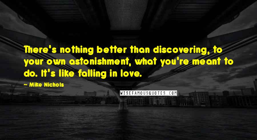 Mike Nichols Quotes: There's nothing better than discovering, to your own astonishment, what you're meant to do. It's like falling in love.