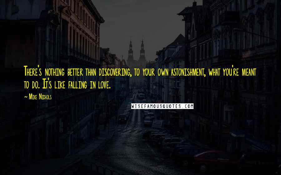 Mike Nichols Quotes: There's nothing better than discovering, to your own astonishment, what you're meant to do. It's like falling in love.