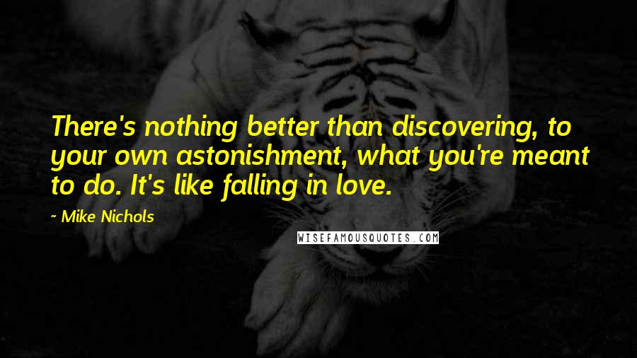 Mike Nichols Quotes: There's nothing better than discovering, to your own astonishment, what you're meant to do. It's like falling in love.