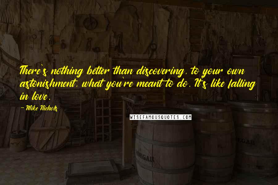 Mike Nichols Quotes: There's nothing better than discovering, to your own astonishment, what you're meant to do. It's like falling in love.