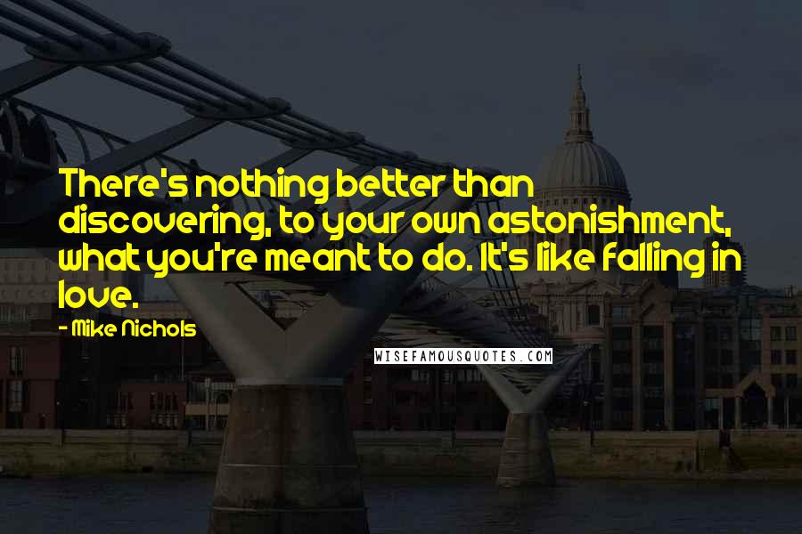 Mike Nichols Quotes: There's nothing better than discovering, to your own astonishment, what you're meant to do. It's like falling in love.