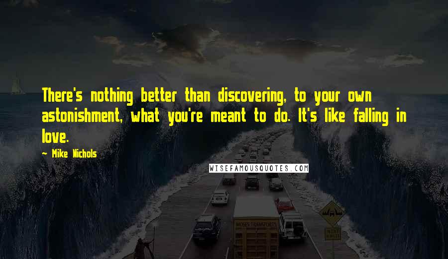 Mike Nichols Quotes: There's nothing better than discovering, to your own astonishment, what you're meant to do. It's like falling in love.