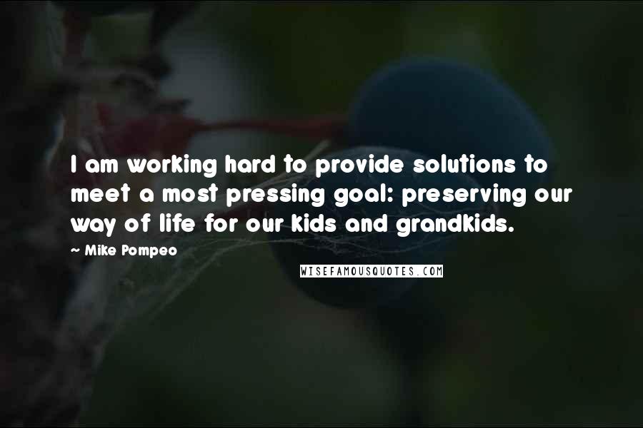 Mike Pompeo Quotes: I am working hard to provide solutions to meet a most pressing goal: preserving our way of life for our kids and grandkids.