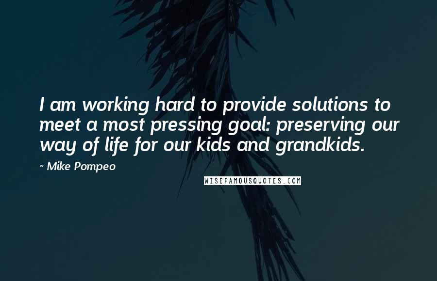 Mike Pompeo Quotes: I am working hard to provide solutions to meet a most pressing goal: preserving our way of life for our kids and grandkids.