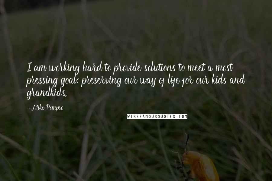 Mike Pompeo Quotes: I am working hard to provide solutions to meet a most pressing goal: preserving our way of life for our kids and grandkids.
