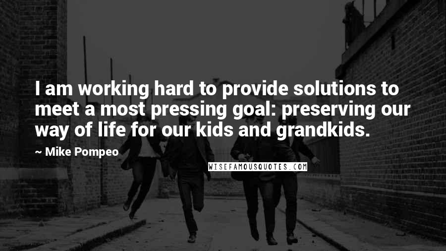 Mike Pompeo Quotes: I am working hard to provide solutions to meet a most pressing goal: preserving our way of life for our kids and grandkids.