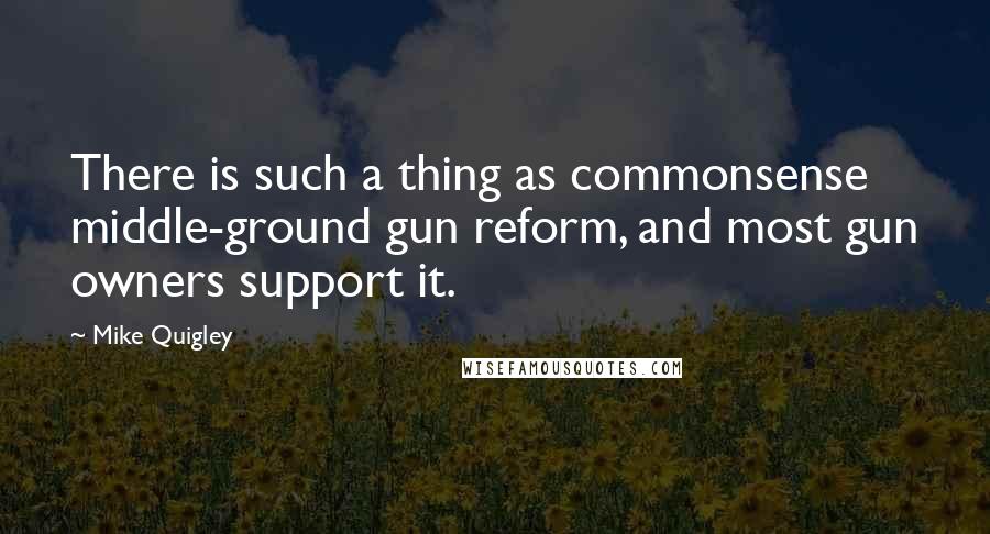 Mike Quigley Quotes: There is such a thing as commonsense middle-ground gun reform, and most gun owners support it.