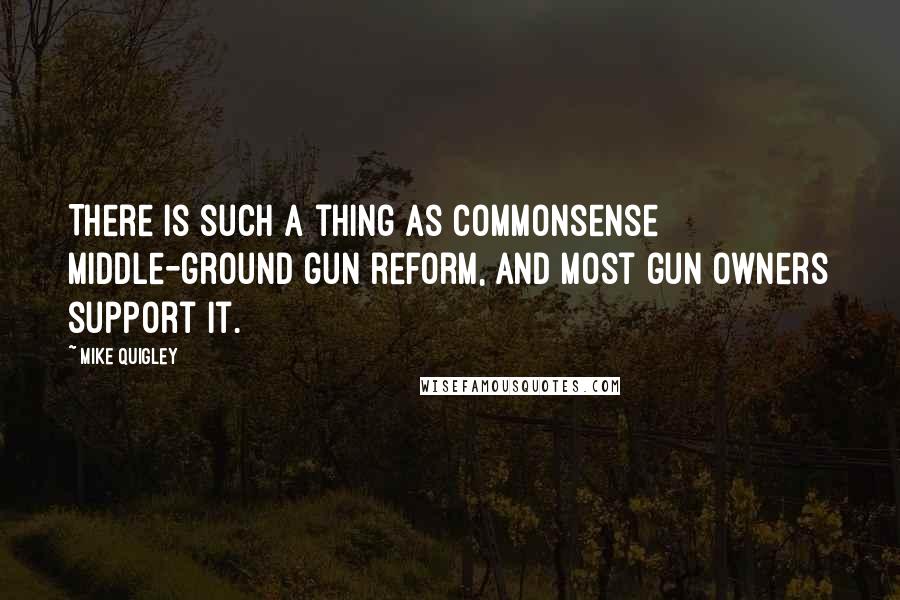 Mike Quigley Quotes: There is such a thing as commonsense middle-ground gun reform, and most gun owners support it.