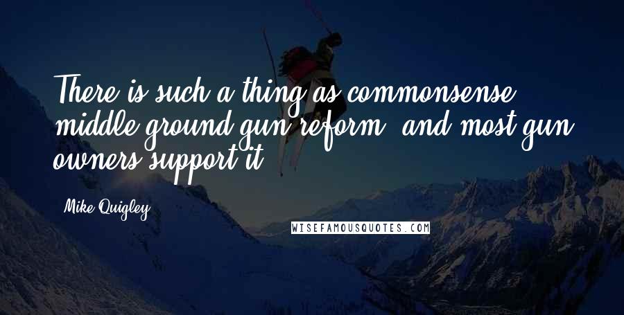 Mike Quigley Quotes: There is such a thing as commonsense middle-ground gun reform, and most gun owners support it.