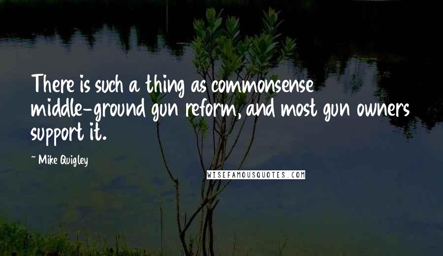 Mike Quigley Quotes: There is such a thing as commonsense middle-ground gun reform, and most gun owners support it.