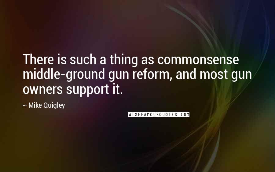 Mike Quigley Quotes: There is such a thing as commonsense middle-ground gun reform, and most gun owners support it.