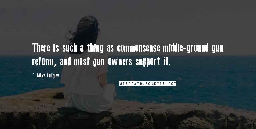 Mike Quigley Quotes: There is such a thing as commonsense middle-ground gun reform, and most gun owners support it.