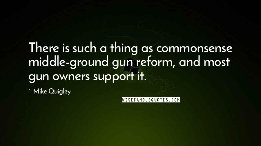 Mike Quigley Quotes: There is such a thing as commonsense middle-ground gun reform, and most gun owners support it.