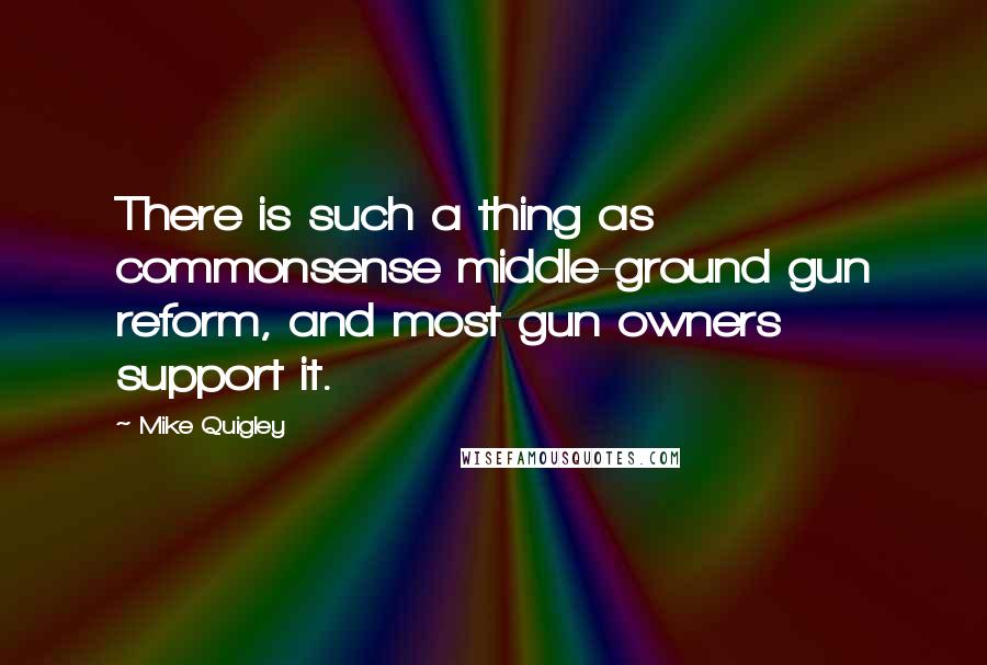 Mike Quigley Quotes: There is such a thing as commonsense middle-ground gun reform, and most gun owners support it.