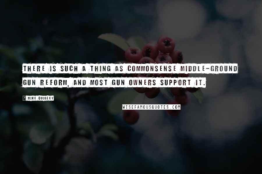 Mike Quigley Quotes: There is such a thing as commonsense middle-ground gun reform, and most gun owners support it.