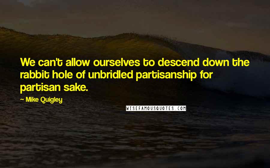 Mike Quigley Quotes: We can't allow ourselves to descend down the rabbit hole of unbridled partisanship for partisan sake.