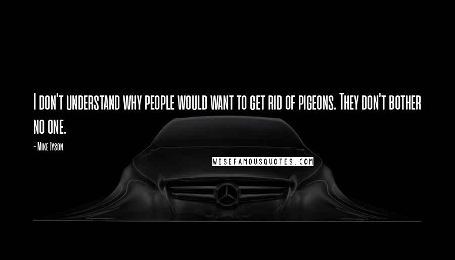 Mike Tyson Quotes: I don't understand why people would want to get rid of pigeons. They don't bother no one.