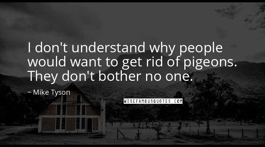 Mike Tyson Quotes: I don't understand why people would want to get rid of pigeons. They don't bother no one.