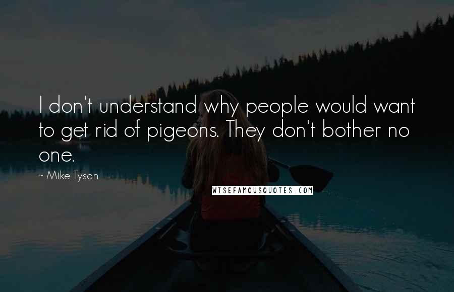 Mike Tyson Quotes: I don't understand why people would want to get rid of pigeons. They don't bother no one.