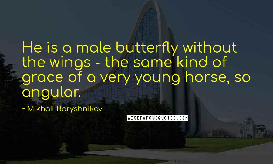 Mikhail Baryshnikov Quotes: He is a male butterfly without the wings - the same kind of grace of a very young horse, so angular.