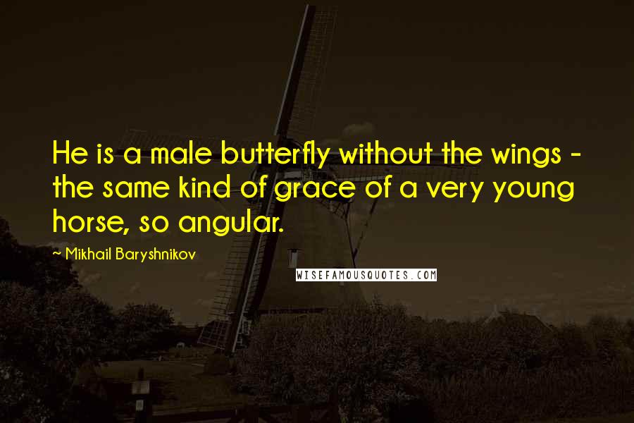 Mikhail Baryshnikov Quotes: He is a male butterfly without the wings - the same kind of grace of a very young horse, so angular.