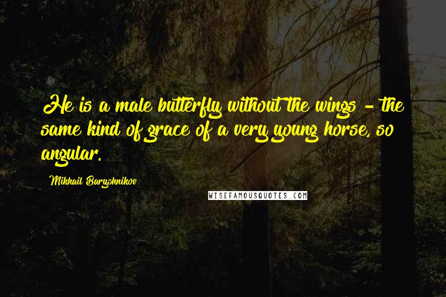 Mikhail Baryshnikov Quotes: He is a male butterfly without the wings - the same kind of grace of a very young horse, so angular.