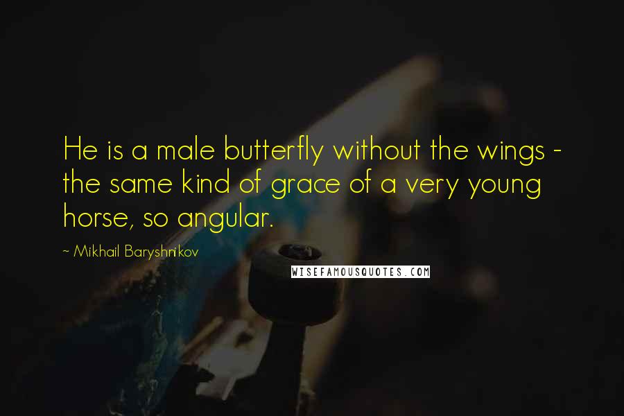 Mikhail Baryshnikov Quotes: He is a male butterfly without the wings - the same kind of grace of a very young horse, so angular.