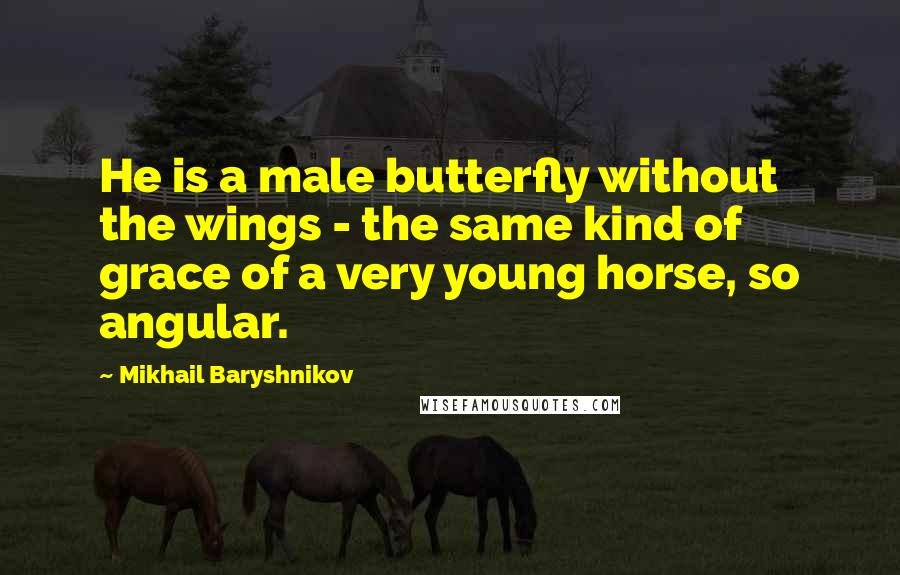 Mikhail Baryshnikov Quotes: He is a male butterfly without the wings - the same kind of grace of a very young horse, so angular.