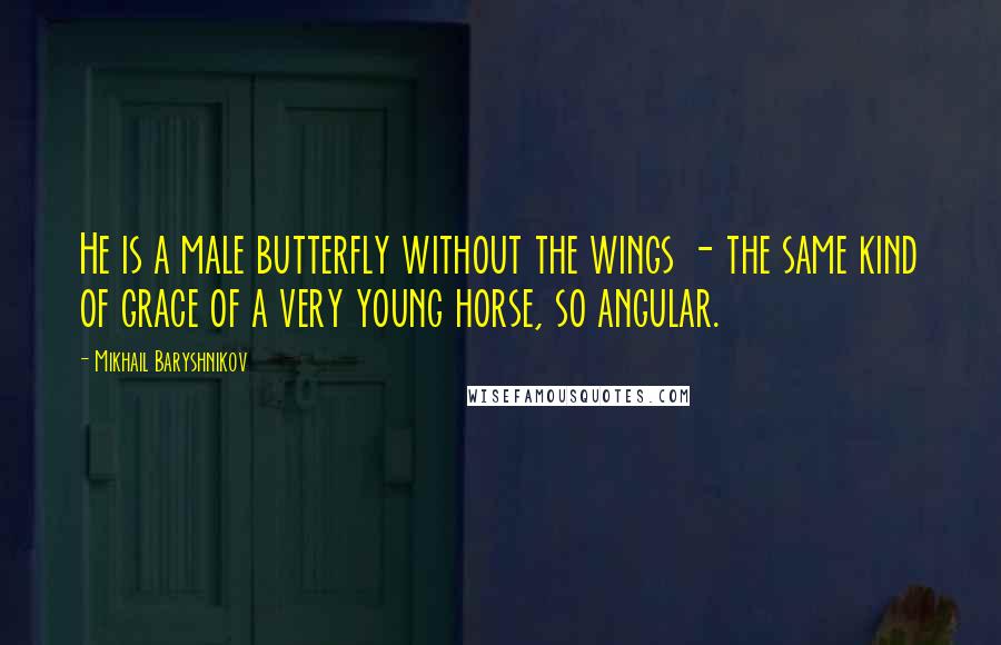 Mikhail Baryshnikov Quotes: He is a male butterfly without the wings - the same kind of grace of a very young horse, so angular.