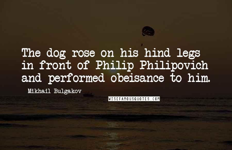 Mikhail Bulgakov Quotes: The dog rose on his hind legs in front of Philip Philipovich and performed obeisance to him.