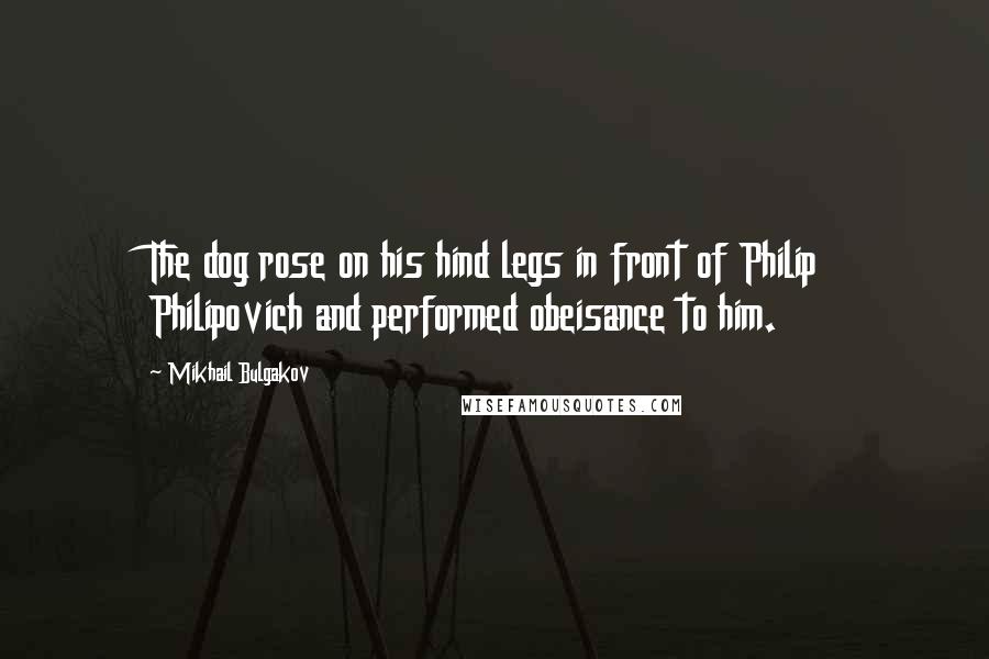 Mikhail Bulgakov Quotes: The dog rose on his hind legs in front of Philip Philipovich and performed obeisance to him.
