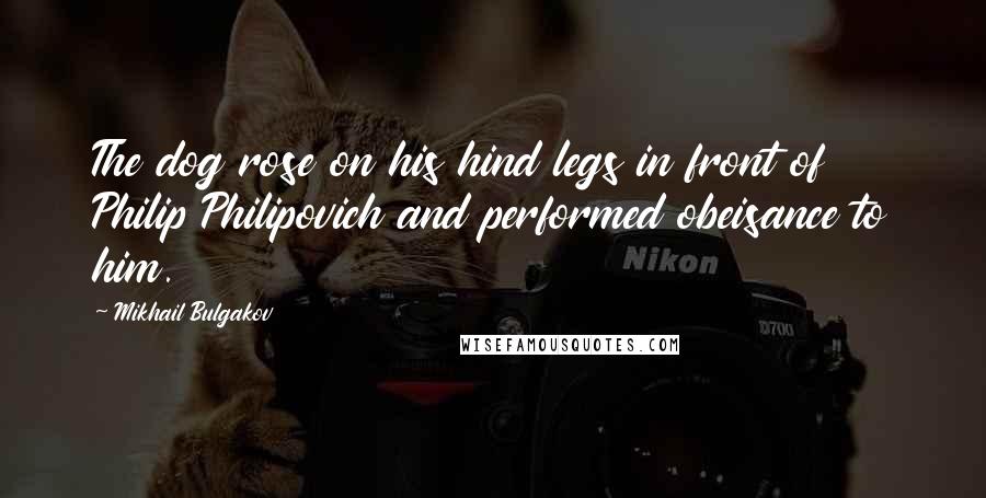 Mikhail Bulgakov Quotes: The dog rose on his hind legs in front of Philip Philipovich and performed obeisance to him.