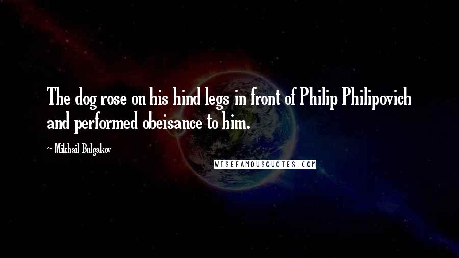 Mikhail Bulgakov Quotes: The dog rose on his hind legs in front of Philip Philipovich and performed obeisance to him.