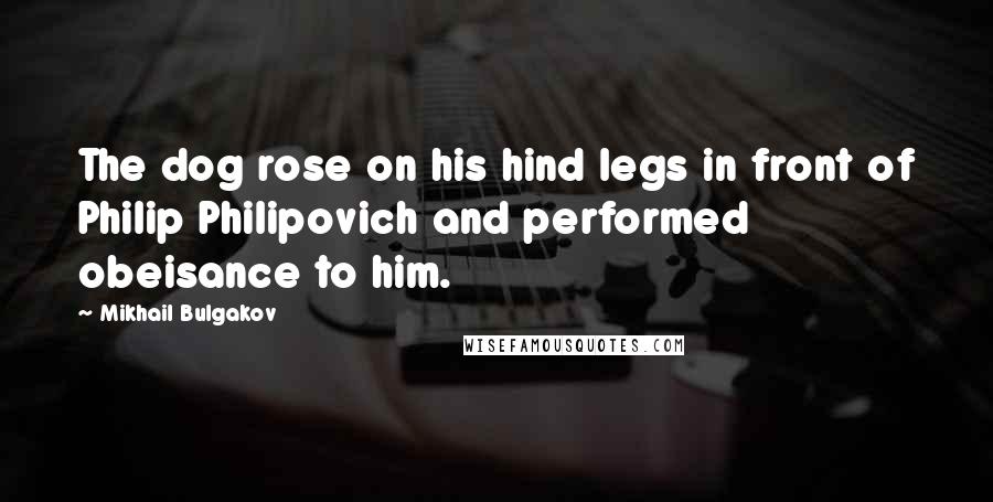 Mikhail Bulgakov Quotes: The dog rose on his hind legs in front of Philip Philipovich and performed obeisance to him.