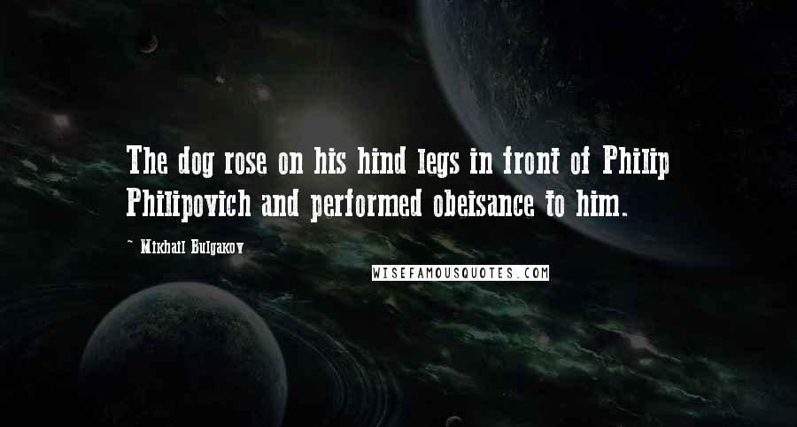 Mikhail Bulgakov Quotes: The dog rose on his hind legs in front of Philip Philipovich and performed obeisance to him.