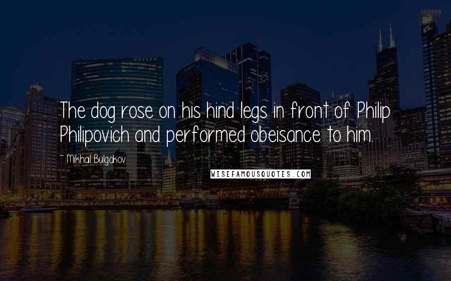Mikhail Bulgakov Quotes: The dog rose on his hind legs in front of Philip Philipovich and performed obeisance to him.