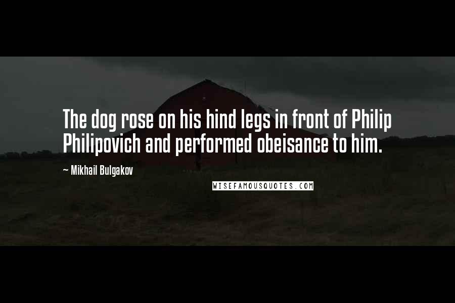 Mikhail Bulgakov Quotes: The dog rose on his hind legs in front of Philip Philipovich and performed obeisance to him.