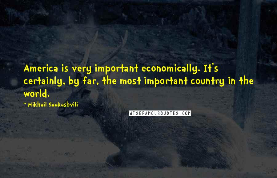 Mikhail Saakashvili Quotes: America is very important economically. It's certainly, by far, the most important country in the world.