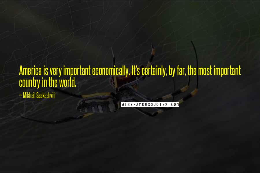 Mikhail Saakashvili Quotes: America is very important economically. It's certainly, by far, the most important country in the world.